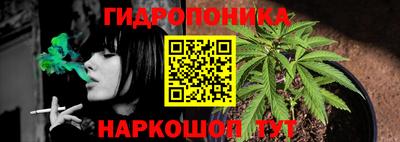 сатива Кумертау