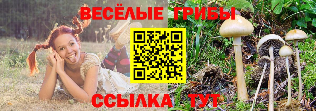Галлюциногенные грибы Cubensis Южноуральск
