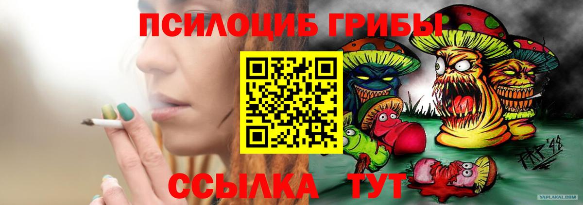 Галлюциногенные грибы Psilocybe  Вход с VPN  Южноуральск 